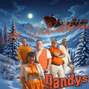 Lieber Weihnachtsmann (x-mas) - Die Dandys