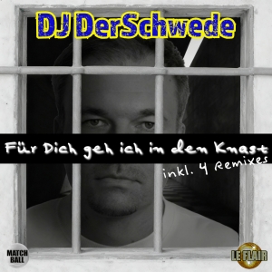 F�r Dich geh ich in den Knast - DJ DerSchwede