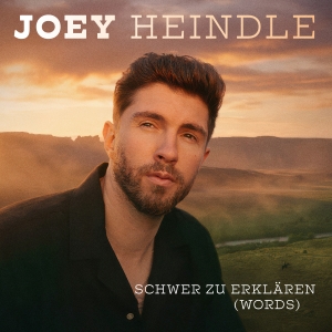 Schwer zu erkl�ren (Words) (Dance Mix) - Joey Heindle